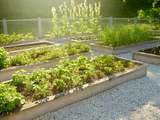 Uprawa roślin i warzyw w podwyższonych grządkach - czym impregnować drewniane skrzynie?